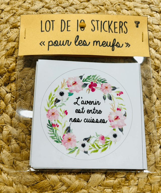 Lot de 10 stickers &quot;pour les meufs&quot; T