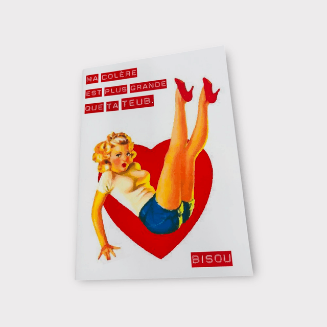 Grand carnet Ma colère est plus grande que ta teub